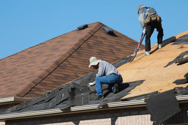 Best Solar Panel Roofing Installation  in Storrs, CT