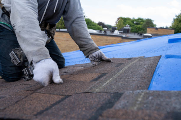 Best Emergency Roof Repair Services  in Storrs, CT